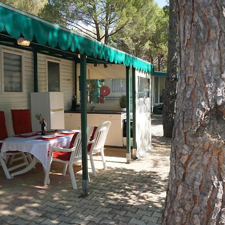 Chalets Met Buitenkeuken Op Camping Lei Suves - Joycasa Roquebrune-sur-Argens Exterior photo